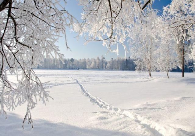  鼎盛|未来两个月吉星照耀，3生肖财运鼎盛，财源大开，迎来翻身机会！