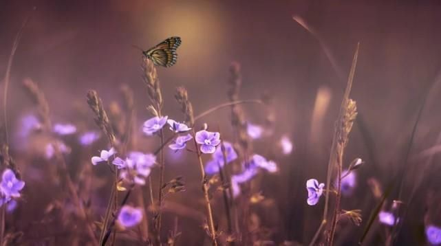  财源滚滚|谁家有这几个生肖, 灾邪不侵, 财源滚滚, 享福一生