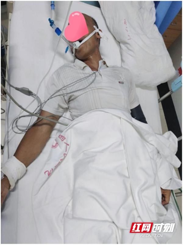 毒蛇|郴州:老农被致命毒蛇咬伤 市四医院抢救挽回生命