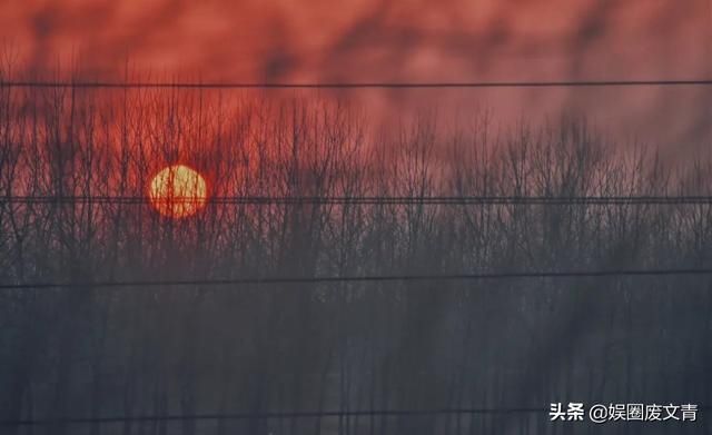 乐坛|28岁退出水木年华,沉寂乐坛8年后走红,李健的成功与王菲有关?