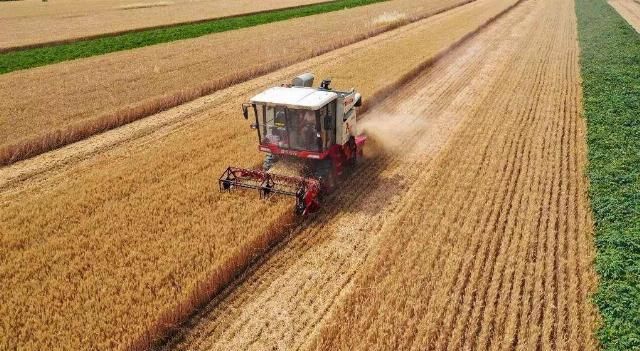 蔬菜价格|雨一直下,菜篮子能稳住吗?猪肉供得上吗?