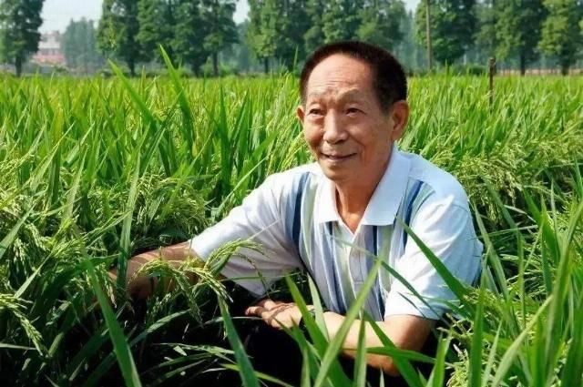 乐高|十岁自闭症男孩痴迷乐高，网友众筹50000+“零件”，打造全球最大泰坦尼克号：梦想不会创造奇迹，但追梦的人可以