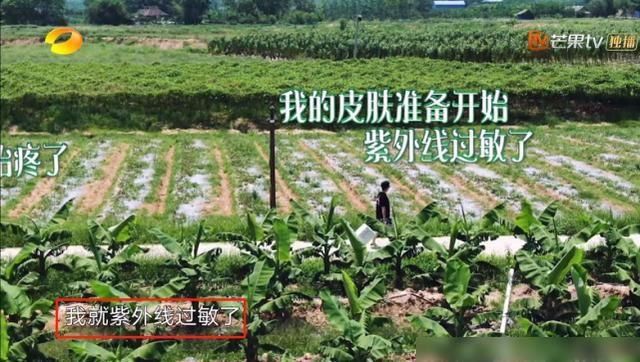  节目|《向往的生活》最难伺候的嘉宾，一下车就抱怨，却得到黄磊偏爱！