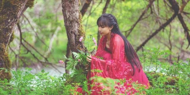  田园|梦想的力量是强大的，李子柒回归平武享受美食与田园的闲适