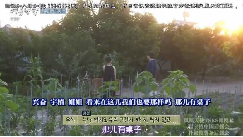  节目|韩综治愈系再出新作，姐弟一起过《暑假》