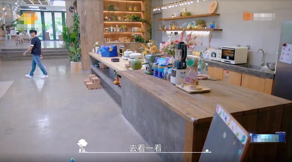  豪宅|郑爽新综艺被气哭？当看到综艺里的森林豪宅，我羡慕哭