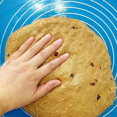 蔓越|巧克力蔓越莓软欧包