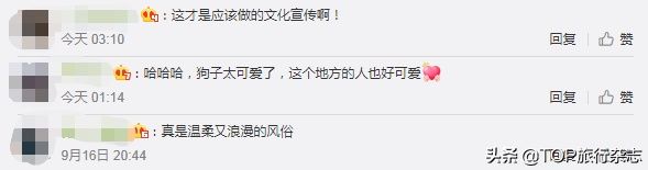 背着|背着狗讨百家饭！中国独有的关于“狗”的节日，一个天堂一个地狱