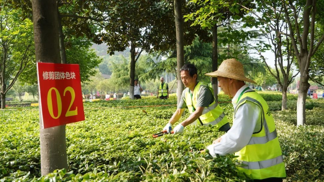 谁是鄂州最佳“剪刀手”？这场比赛有看头