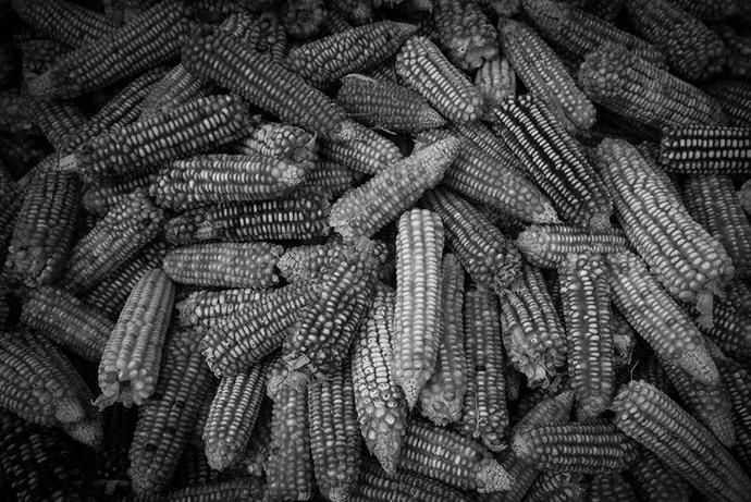  赛级|赛级摄影作品讲述的也不过是不同的生活罢了