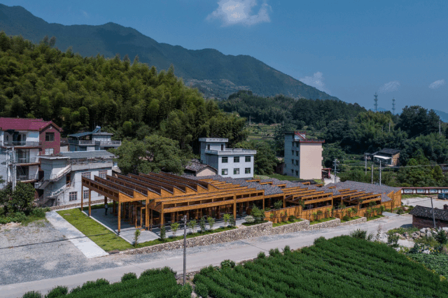 乡村|走进松阳，感受散落在乡村的“时光琥珀”