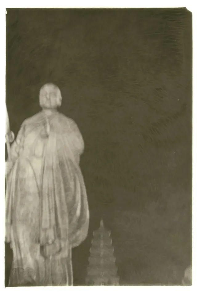  停用|摄影圈｜佳能宣布所有新产品停用两个术语 / 女摄影师凭水中拍鸟成北美打鸟第一人