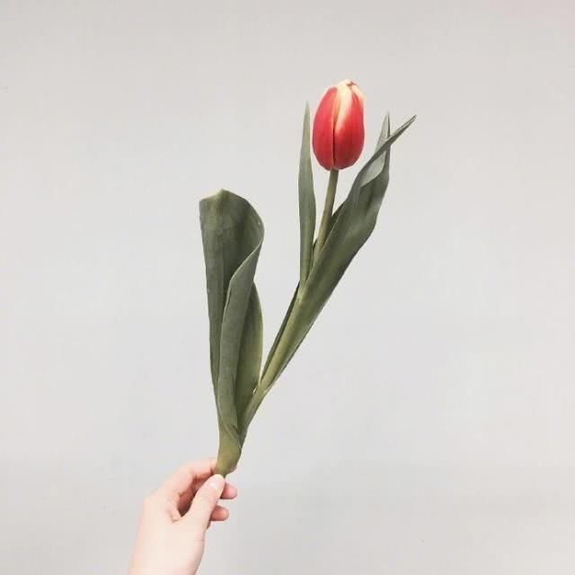 心语|简单干净的晚安心语，温暖治愈，你最喜欢哪句？