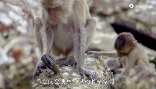  佳作|豆瓣预定超9分的佳作：原来我们错过许多惊喜，真遗憾没早点看到