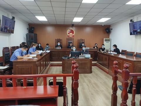 诉讼案|宁河法院党组书记、院长于盛乐审理辖区首起刑事附带民事公益诉讼案