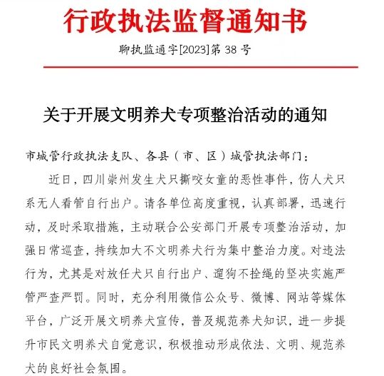 严管严查严罚！聊城开展不文明养犬行为集中整治