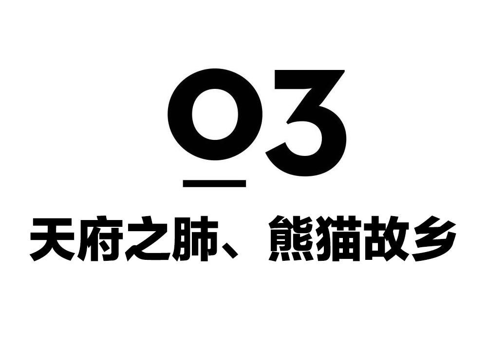  瞒不住|完了！雅安遍地大熊猫的事瞒不住了