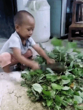 丢人|搞笑GIF趣图:我都想直接下去不表演了,太丢人了