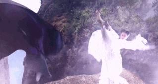  神雕侠侣|《神雕侠侣》后仅有一部作品超6分，刘亦菲何以至此？