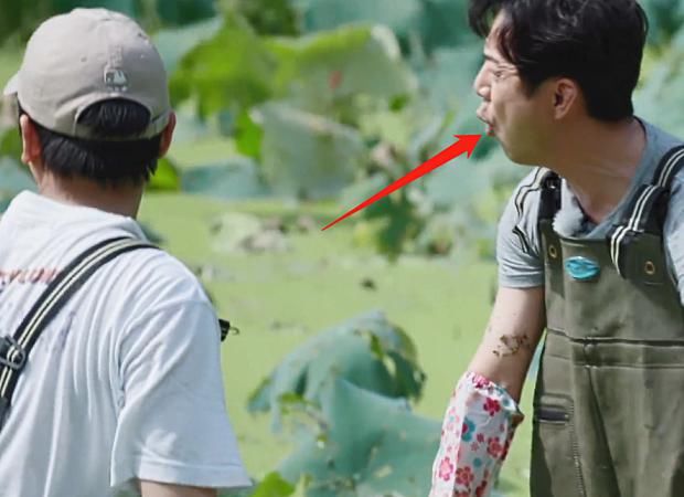  一旁|许光汉成功挖到第一个藕，一旁何炅的表情抢镜，是否作秀很明显