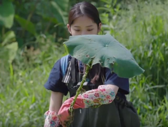  泥里面|《向往的生活》明星下藕池，镜头扫过角落，节目安全防范意识强