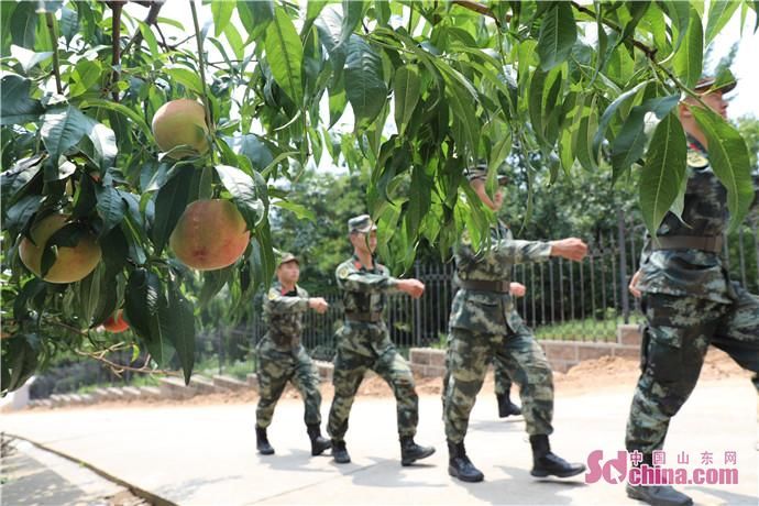  大山|记者在基层 | 一份来自大山深处的青春守望，一次洗涤心灵的“大山之旅”