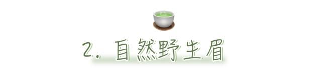  真的|林有有：你真的太太太太绿茶了！