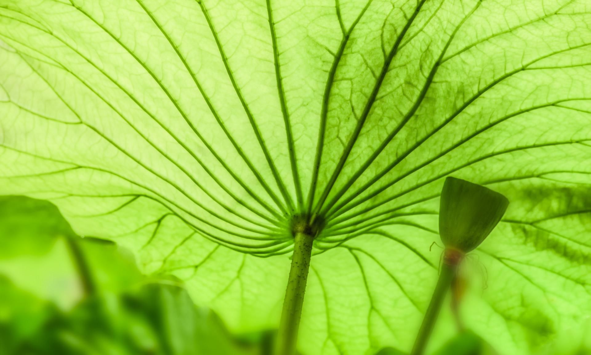  隔夜|剩饭剩菜到底能不能吃？5种食物，天放过夜后不建议吃