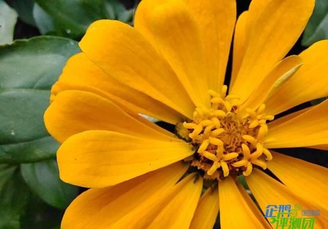  时代|iQOO Z1x评测：5000mAh超大电池，5G时代的续航小钢炮