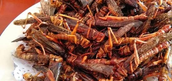 盘点|盘点全国各地下酒菜:我国民风已经彪悍成这样了吗?