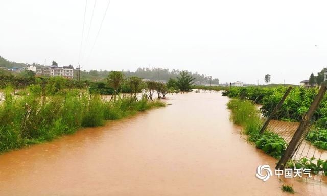  连遭|四川广安连遭强降水 多地受灾严重