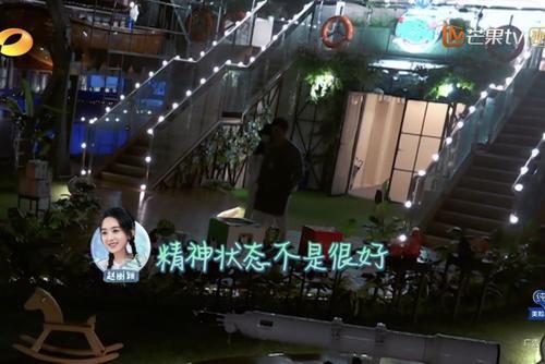  食客|食客眼里的黄晓明和赵丽颖，很帅很年轻，赵丽颖美中不足