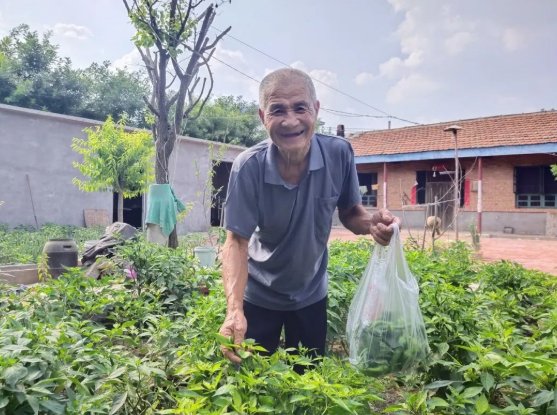 温情|德州市庆云县庆云镇陶家村李大爷的温情菜地