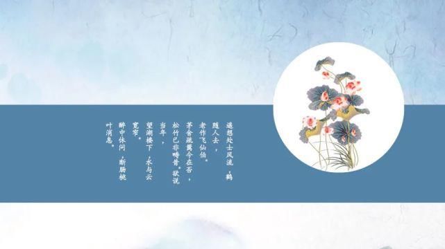  淡雅|淡雅荷花中国文化传统国学PPT模板
