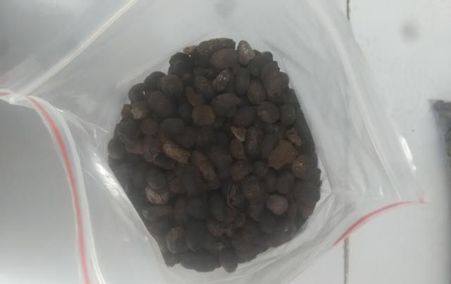  方法|无机肥用久了，土壤容易变“硬块”怎么办？教你3个“方法”解决