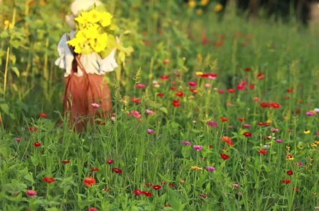  李子|她用3年时间爆改老宅，把荒地变花海：原来除了李子柒，我们还有另一种田园牧歌