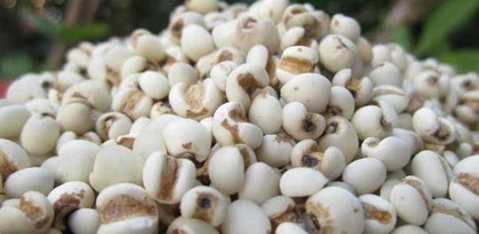 不想|女性不想满脸皱纹,多吃此物,色斑淡,湿气没了,大肚子也变平了