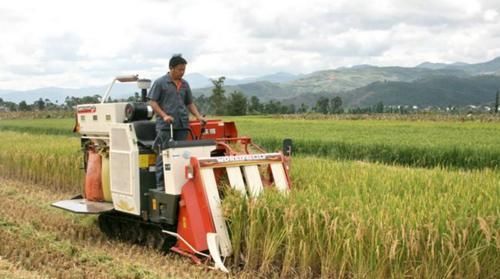  人工|王福重为何建议不让农民用收割机收麦？