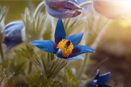  人生|人民日报：让你人生瞬间豁然开朗的68个神回答