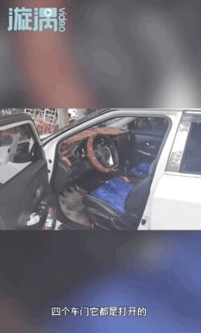  车辆|车辆被交警贴罚单，车主看后竟十分感动，为啥？