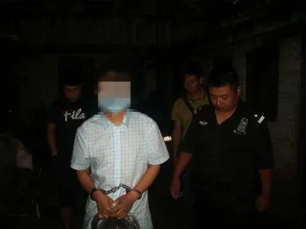 犯罪嫌疑人|镇沅警方迅速破获两起盗窃案