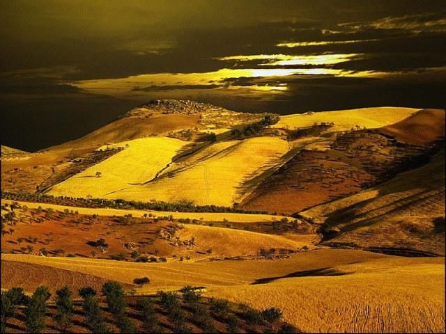  秋景|这一组迷人秋景，美爆了朋友圈！