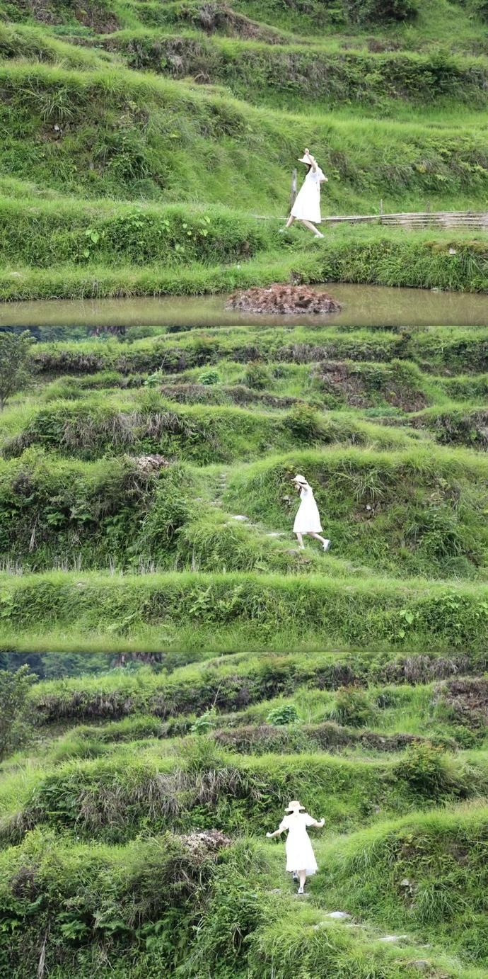  黄岗|村光灿烂 | 如果认识陶渊明，我一定让他到黄岗来。
