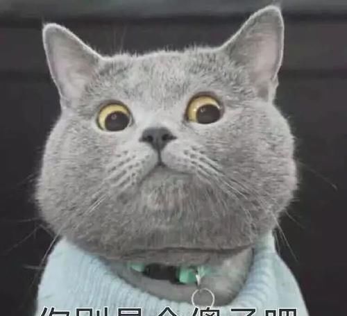 表妹|和室友一起去浴室洗澡，洗完后却不认得对方了，怎么回事？