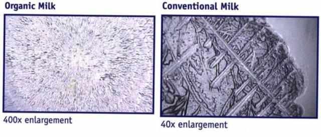  农业|菜吧：我相信有机农业的存在