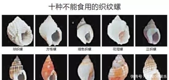 别碰|紧急扩散:最近千万别碰这东西,一颗致命…