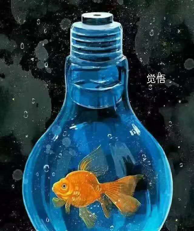  创造|玩中创造，快乐生活