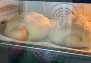  奶香|最近很火的牛奶哈斯卷，做法非常简单，奶香四溢