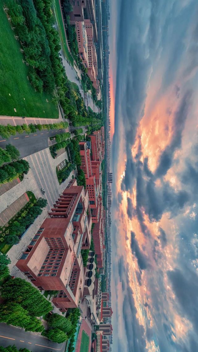 北洋园|啊,我的天大啊!