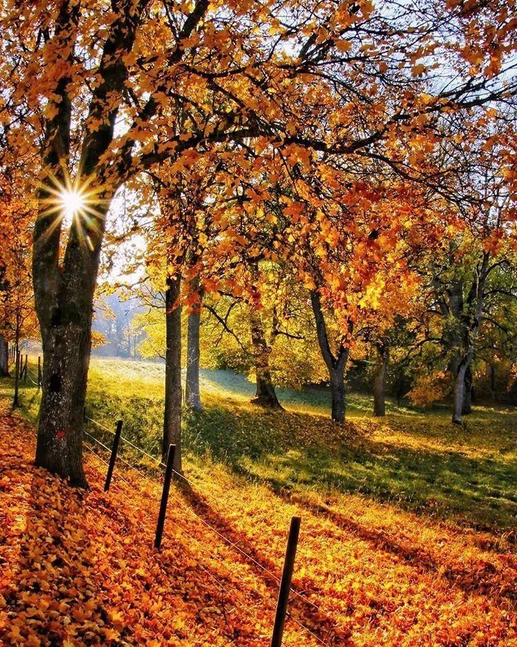  不止|瑞典的美，不止一种颜色！